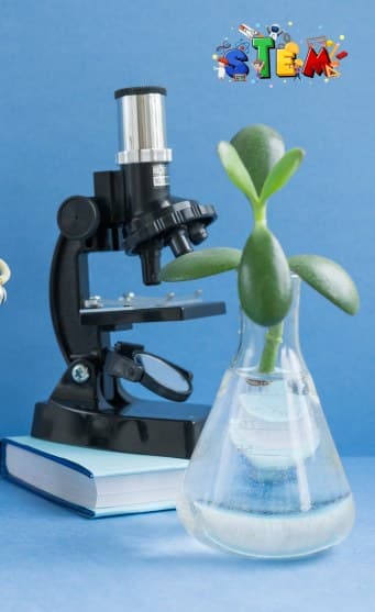 STEM & Robotics Innovation Lab